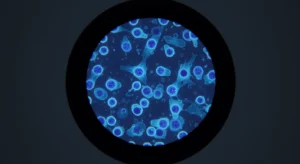 Bleu de méthylène - ACTIVITÉ PRATIQUE POUR TOUS ÂGES – DÉCOUVREZ VOS P