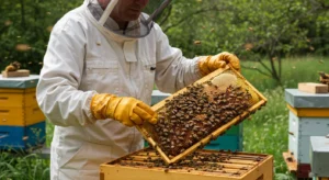 Bleu de méthylène - APICULTURE – UN USAGE HISTORIQUE ET CONTROVERSÉ