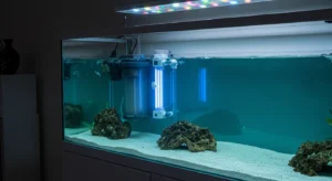 Bleu de méthylène - UV ET BLEU DE MÉTHYLÈNE – UNE INTERACTION IMPORTAN