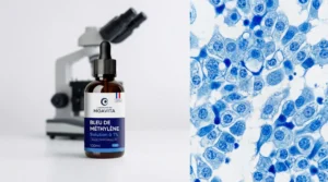 Guide technique sur l'utilisation du bleu de méthylÚne pour la coloration et l'observation de cellules en microscopie.