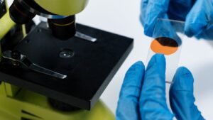 Illustration – Coloration au Bleu de Méthylène en Microscopie :