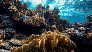 Illustration – EAU DE MER – UNE CHIMIE DIFFÉRENTE
